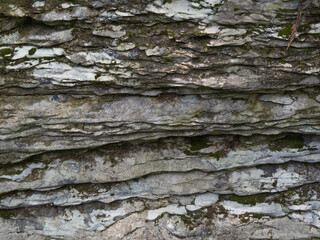 A primitive, prehistoric texture. Detailed moss background on gray textured rock. 
