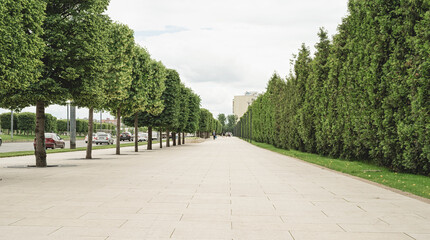 view of beautiful greem street in the city