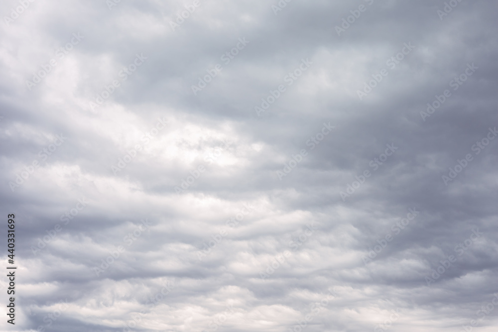 Wall mural white and grey cumulus storm clouds floating in moody sky with sunlight. natural cloudscape, fluffy 