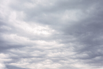 White and grey cumulus storm clouds floating in  moody sky with sunlight. Natural cloudscape, fluffy cloudy scene of outdoor environment in rainy season. Abstract nature background. Mood of weather.