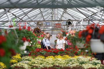 Two women posing in a greenhouse between hundreds of flowers