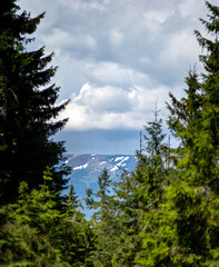 Spring mountains in the snow on the background of a green forest
