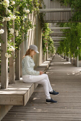 Woman sitting on the wooden bench using phone in green park alley, walls with white roses