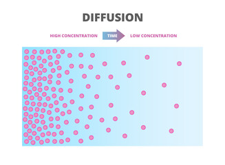 Vector scientific scheme of diffusion. Movement of molecules, ions, and atoms from an area of higher or high concentration to an area of lower or low concentration. Red particles, blue background. - obrazy, fototapety, plakaty