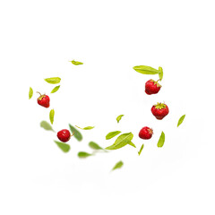 Flying leaves of green mint leaves with strawberry falling in the air on white background. Food levitation concept