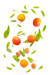Falling juicy ripe apricot with green leaves isolated on white background. Flying defocusing slices of fruit.
