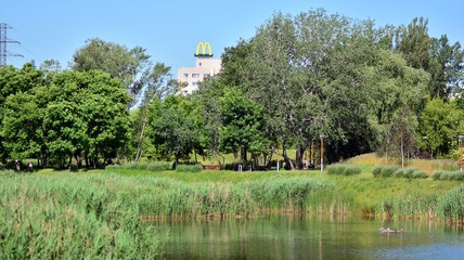 Fototapeta na wymiar Pond in public garden. Lush trees and foliage around a pond in a public park 