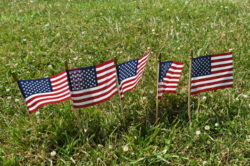 Stick Flags in a Yard