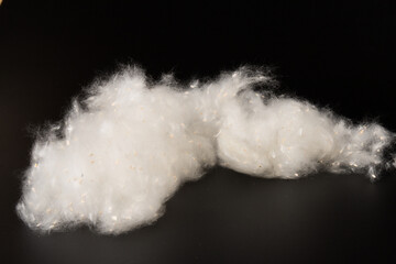 Fluff of poplar trees close-up. Allergy to poplar seeds.