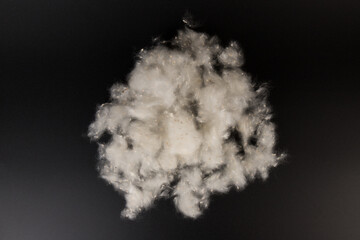 Fluff of poplar trees close-up. Allergy to poplar seeds.