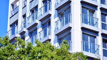 Eco architecture. Green tree and apartment building. The harmony of nature and modernity.