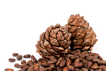 Pine nuts and ripe pine cones on a white background