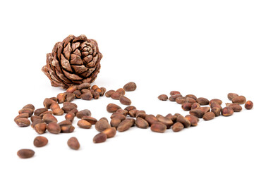 Pine nuts and ripe pine cones on a white background