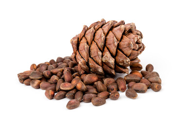 Pine nuts and ripe pine cones on a white background