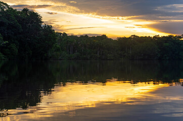 Amazon river rainforest sunset, Yasuni national park, Ecuador.