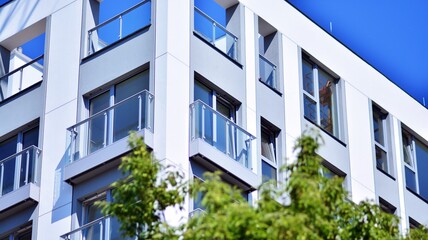 Eco architecture. Green tree and glass office building. The harmony of nature and modernity.