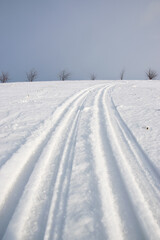 Fototapeta premium Tracks from a sled in the snow on a snowy meadow