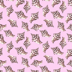 Seamless watercolor pattern. Print on a nautical theme. Rapan shell on a pink background. Marine fauna. Handmade graphics. Marine background.