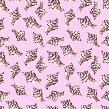 Seamless watercolor pattern. Print on a nautical theme. Rapan shell on a pink background. Marine fauna. Handmade graphics. Marine background.