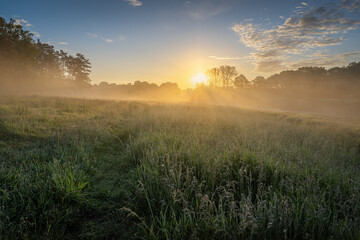 Sonnenaufgang an der Ems an einem nebeligen Morgen im Frühling auf einer Wiese bei schönen Wetter