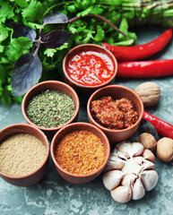 Georgian food.Georgian spices on a plate. 