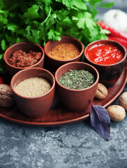 Georgian food.Georgian spices on a plate. 