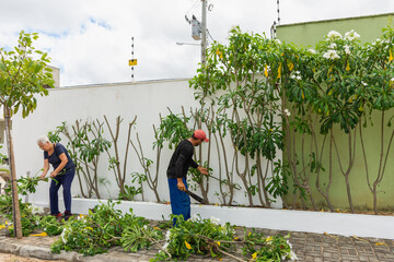 Mulher idosa cuidando do jardim e plantando 