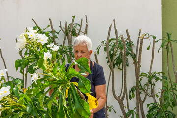 Mulher idosa cuidando do jardim e plantando 
