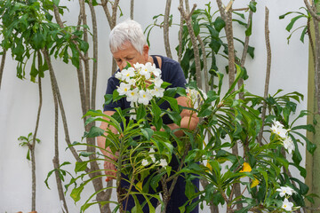 Flores sendo plantadas e cuidados por pessoas dedicadas