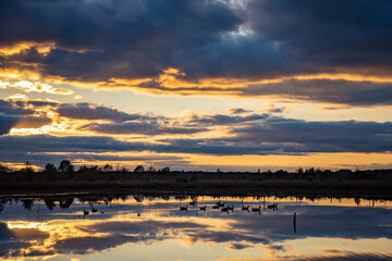 See mit Enten nach Sonnenuntergang