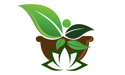 pot médicinal de plantes herbal