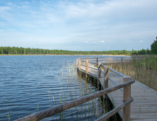 Obraz premium Wooden bridge trail along the shoreline of the lake on a warm spring day