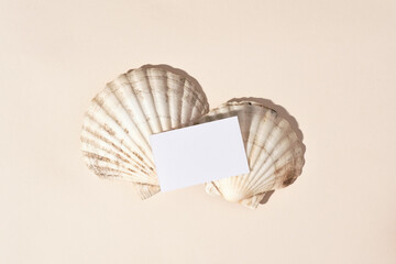 Modern summer still life. Blank business card mock up scene with white sea shells, beige  background. Flat lay, top view. Vacation, ocean concept