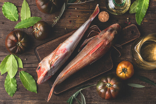 Red gurnard or Sea robins for cooking recipe with white wine and tomatoes on rustic wooden background. Mediterranean recipes