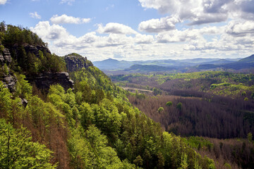 Fototapeta na wymiar National park Ceske Svycarsko or Bohemian Switzerland, with part of the trees destroyed by the bark beetle