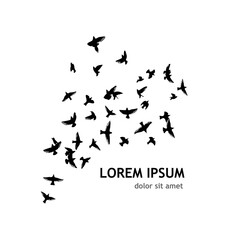 A flock of flying birds. Vector illustration