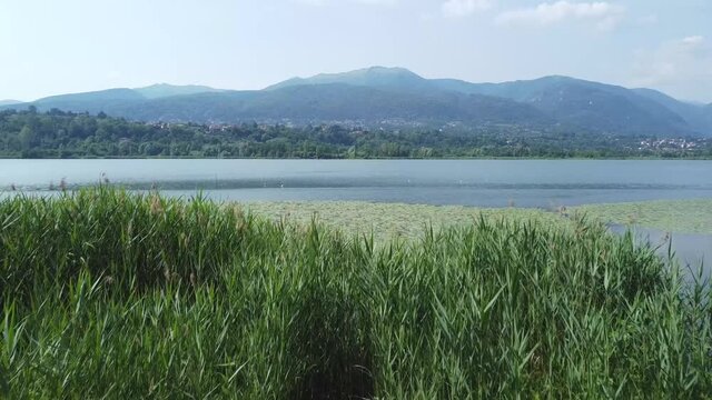 Landscape near Alserio Lake, Lombardy, Como