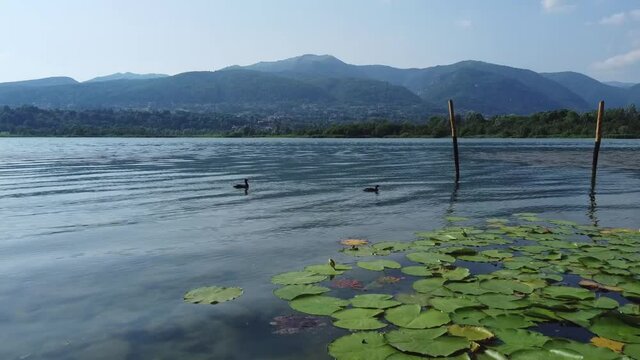 Landscape near Alserio Lake, Lombardy, Como
