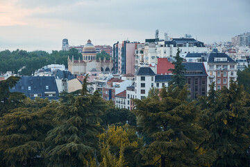 Buildings and trees in the city of Madrid