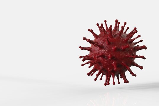 Coronav&iacute;rus - covid 19 - sars cov 2