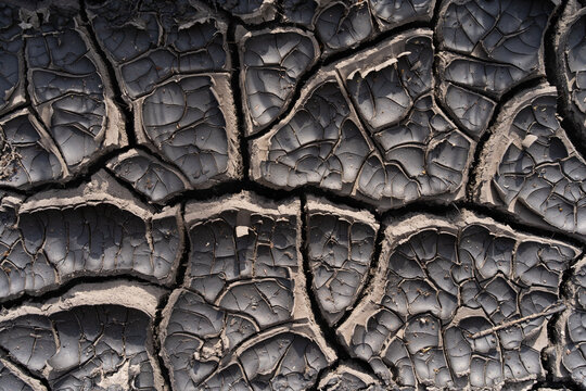 Anomalie Bilder Durchsuchen 8,694 Archivfotos, und