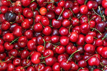 Red ripe cherries at the farmers' market. Cherry background.  