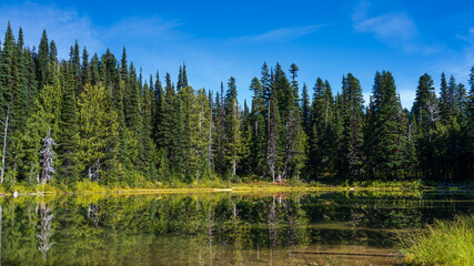 Fototapeta na wymiar Palisades Lake Trail At Mount Rainier National Park