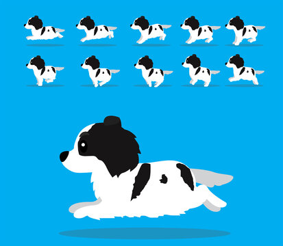 Animal Animation Sequence Dog Tornjak Cartoon