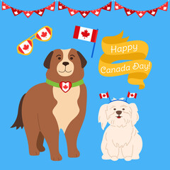Canada Day cartoon set. Funny patriotic dogs with canadian flag balloon ribbon, glasses with maple leaf, garland bunting flat style. Festival Canada day, pet bernese mountain dog. Vector illustration