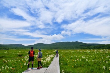 初夏の花々を楽しむハイカー
