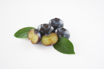 ブルーベリーの実を白バックで