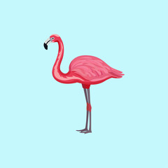 icon pink flamingo bird on b;ue background.