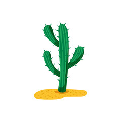 prickly cactus(Cactaceae) icon, desert plant isolated on white background