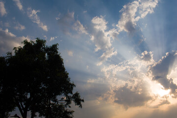 Golden hour picture of sun rays penetrating through cloud and mango tree on left